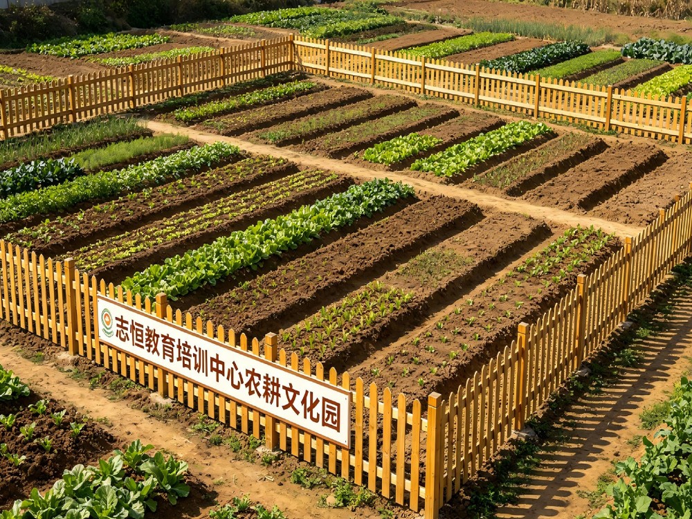 东莞正规厌学孩子改造学校具体位置与择校指南